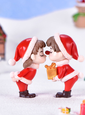 diy微景观多肉塑料水晶球工艺品