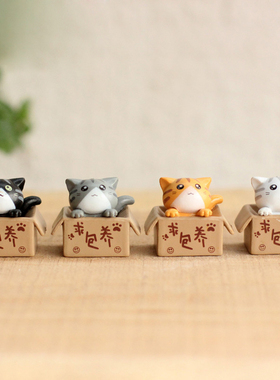 diy求包养私房猫爬缸多肉花盆