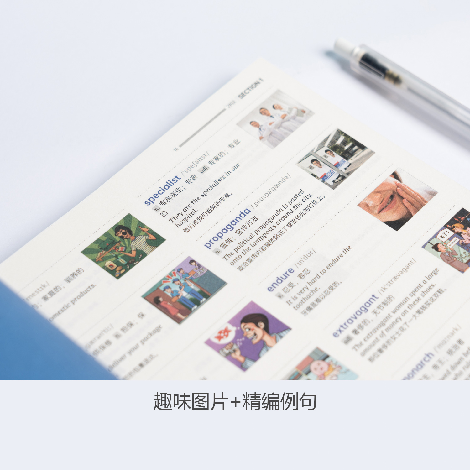 【备考2024年12月】百词斩六级英语词汇大学英语六级高频词基础词六级真题精讲英语6级考试单词本听力专业词缀记忆法便携版手册书