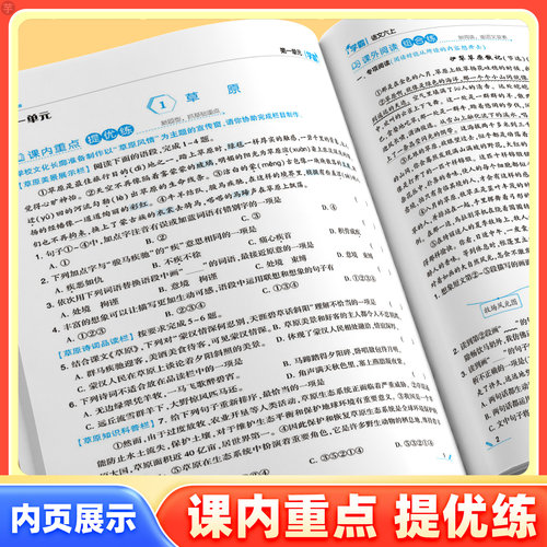 2026经纶小学5星学霸一年级二年级三四五六年级下册语文数学英语人教版全套北师苏教版江苏译林版五星同步提优课时作业本专项训练 - 图2