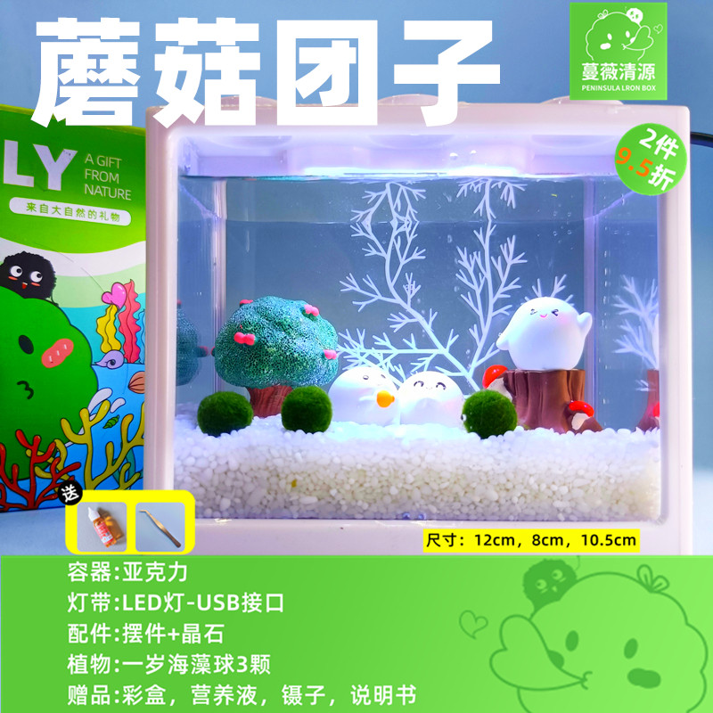 马里莫海藻球微景观生态瓶鱼缸桌面迷你盆栽水培植物球藻创意礼物,淘宝优惠券,粉丝福利购,淘宝优惠卷