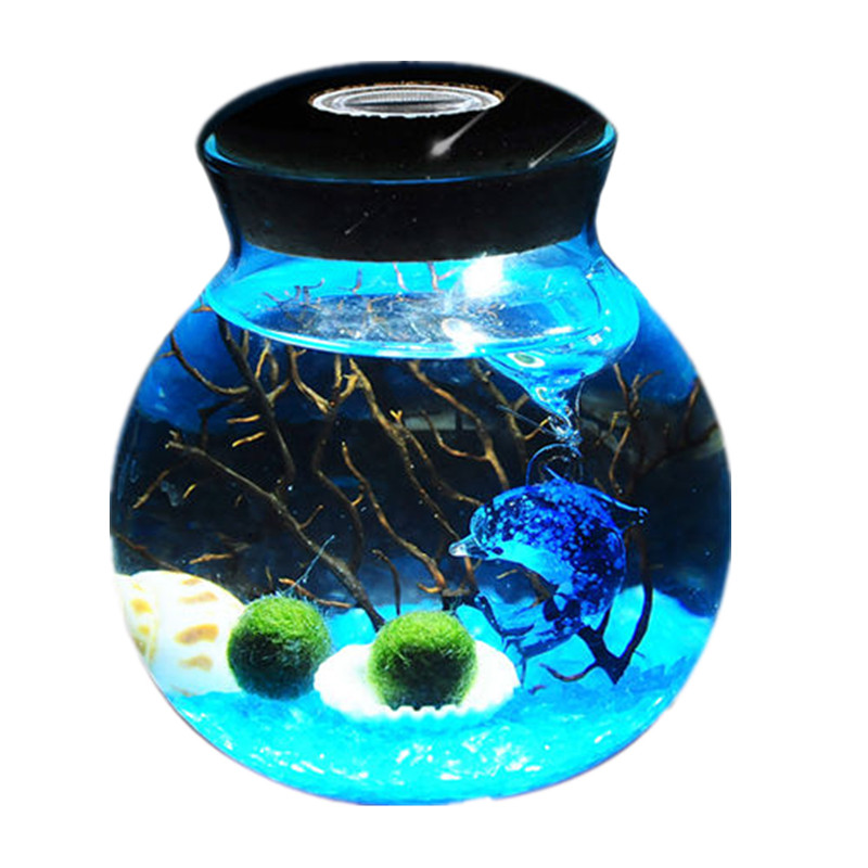 趣味热植海藻球微景观生态瓶DIY球藻水培植物创意礼物桌面小盆栽,淘宝优惠券,粉丝福利购,淘宝优惠卷