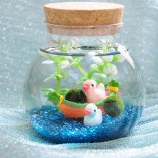 Водоросли мяч marimo海藻球微景观生态瓶玻璃瓶创意迷你植物桌面diy绿植礼物