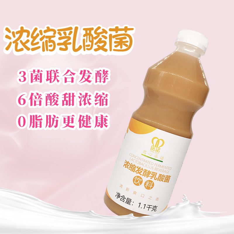 铭诺多多乳酸菌饮料1.1kg浓缩发酵酸奶饮品优格优酪多益生菌奶茶 - 图0