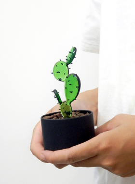 咖啡仙人掌 小盆栽系列  气氛植物摆件 家居装饰 Original Design