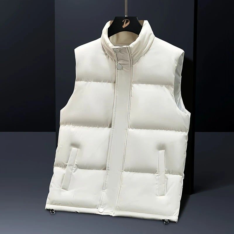 加厚保暖耐磨脏立领羽绒马甲男士秋冬百搭宽松大码高级感背心外套,淘宝优惠券,粉丝福利购,淘宝优惠卷
