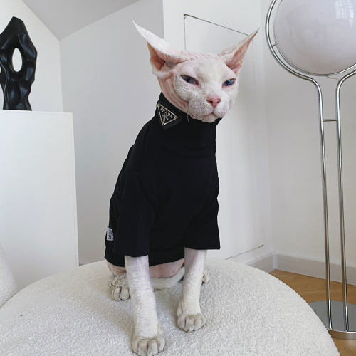 SPHYNX PLANET德文衣服斯芬克斯无毛猫春季纯棉打底蔡徐坤潮宠物 - 图1