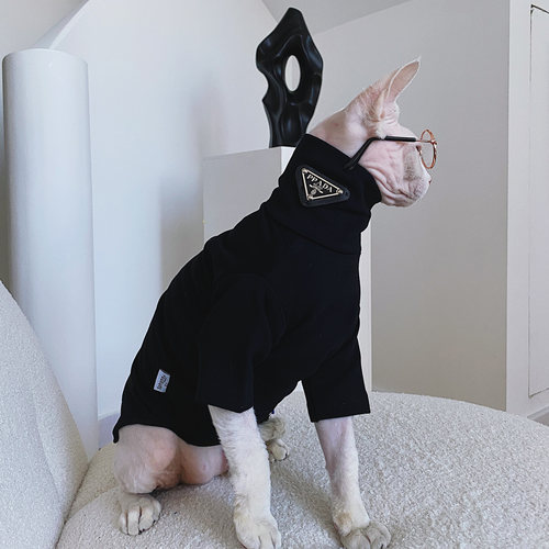 SPHYNX PLANET德文衣服斯芬克斯无毛猫春季纯棉打底蔡徐坤潮宠物 - 图3