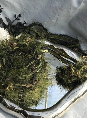 维纳斯森林|diy新款手编特色长毛网红手混线毛线团海马毛编织