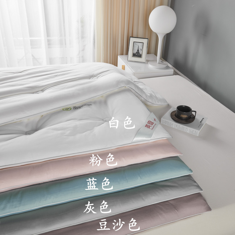 美庭家纺3A抗菌冬被纯棉加厚被芯柔软亲肤保暖双人春秋被儿童被子 - 图2