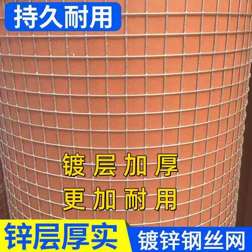 热镀锌铁丝网小网格围栏防护网果园养鸡鸽兔子鱼塘防锈钢丝网格栅 - 图1