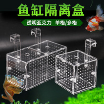 Isolation Case Fish Tank Aquarium Water Family Small Fry Hatching Breeding Box Transparent Acrylic Single Double Doge Hot Sell