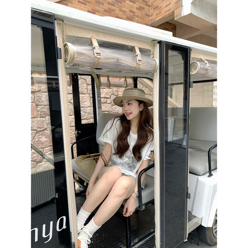 AeoAlways【紫藤梦境】紫色印花短袖T恤女新款夏宽松纯棉显白上衣 - 图0