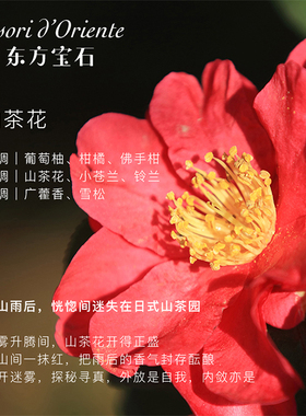 意大利东方宝石护手霜
