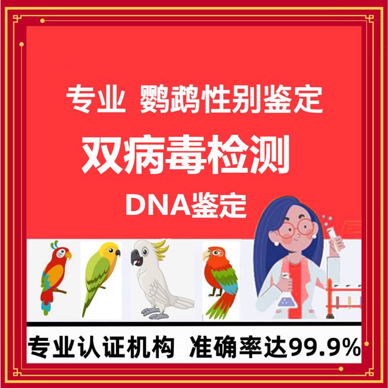 鹦鹉双病毒DNA性别鉴定禽类鸽子玄凤牡丹虎皮鸟类公母检测验卡 - 图0