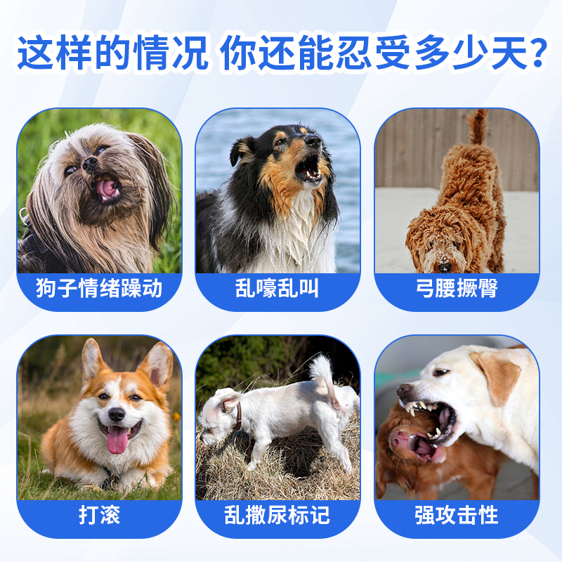 汪想宠尽欢犬用禁情粉公母狗狗宠物发情期专用营养补充剂非抑情片 - 图1