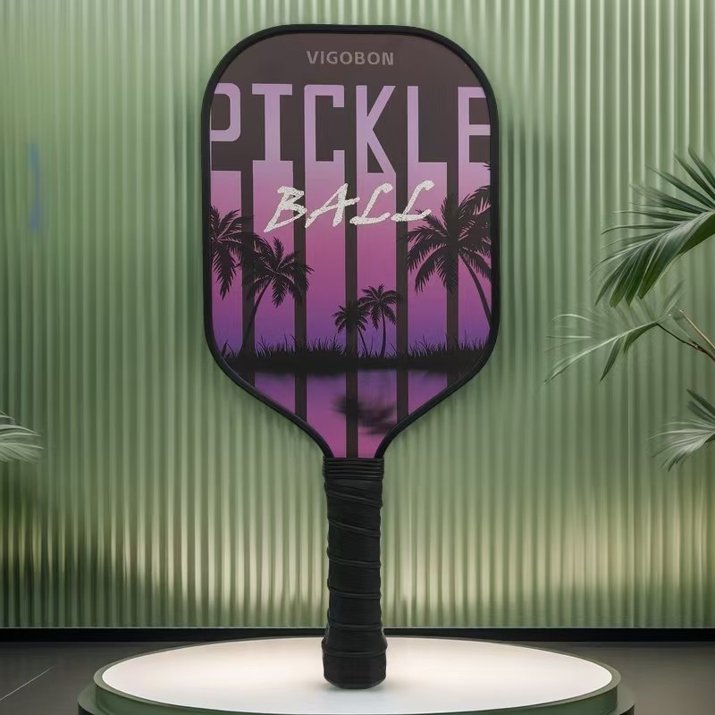 匹克球板拍pickleball球拍玻璃纤维匹克拍专业级匹克球球拍板套装,淘宝优惠券,粉丝福利购,淘宝优惠卷