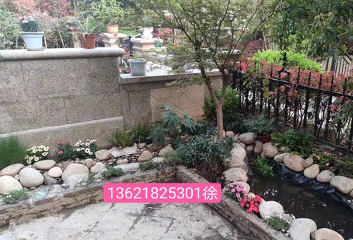花园石头装饰庭院水池围边鹅卵石毛石水池底部装饰大头荷花池公园 - 图2