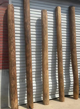 树干树木装饰北欧客厅好看树干