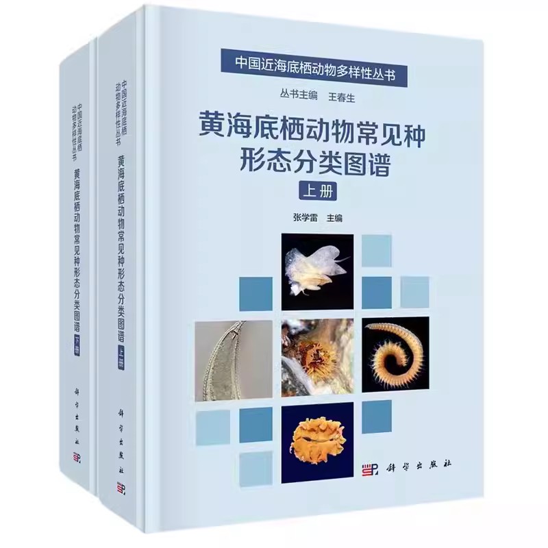 渤海底栖动物常见种形态分类图谱+黄海底栖动物常见种形态分类图谱+东海底栖动物常见种形态分类图谱 中国近海底栖动物多样性丛书