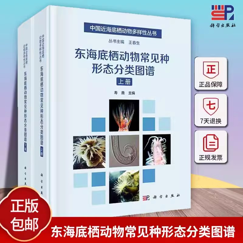 渤海底栖动物常见种形态分类图谱+黄海底栖动物常见种形态分类图谱+东海底栖动物常见种形态分类图谱 中国近海底栖动物多样性丛书
