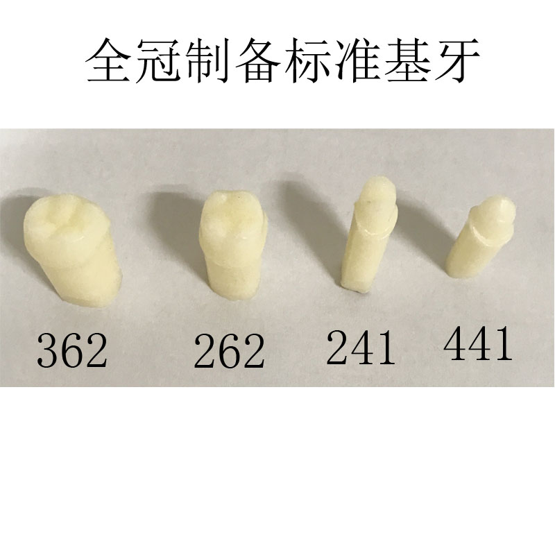 牙齿预备评价标准模型牙科口腔备牙模型牙齿模型-图3