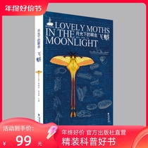 Moonlight under the Moonlight-The Moth Straits Bookworm of the Moth Class of the Moth Tuscan collection specimen Kop Huang Jiarong Xu Fenfeng