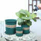 花盆塑料家用新款高档树脂加厚多肉绿萝盆景专用大加仑盆阳台盆栽