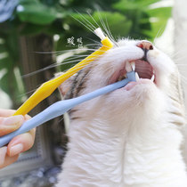 Cat toothbrush kitty toothbrushing suit toothpaste tooth cleaning theorizer supplies to dental calculus except for the mouth and foul cat used to import