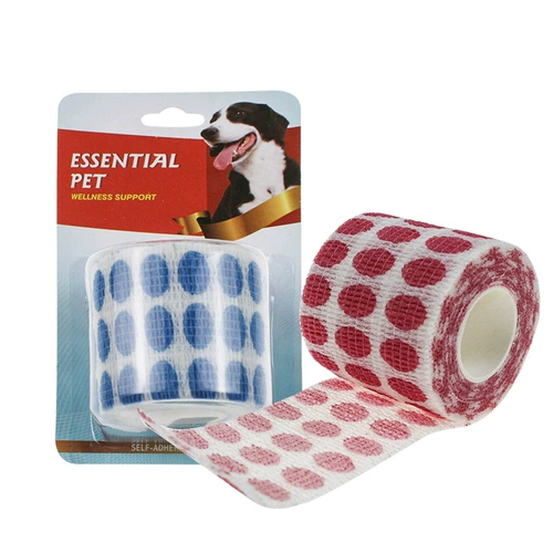 Собачьи кусание домашние животные перевязаны защитой от раны, анти -ликовающими собачьи ноги, фиксируя кошачьи кошачьи повязки