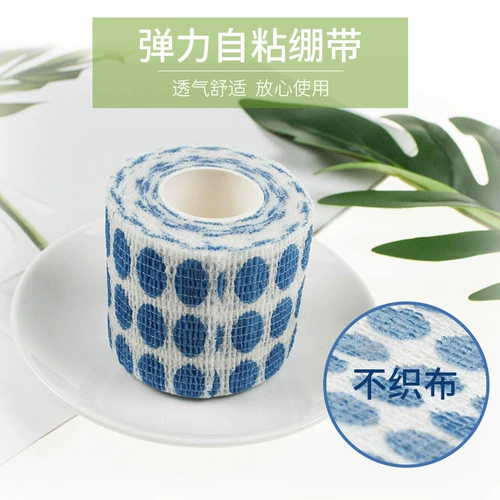 Собачьи кусание домашние животные перевязаны защитой от раны, анти -ликовающими собачьи ноги, фиксируя кошачьи кошачьи повязки