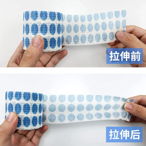 Собачьи кусание домашние животные перевязаны защитой от раны, анти -ликовающими собачьи ноги, фиксируя кошачьи кошачьи повязки