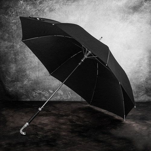 DanMunier十二生肖雨伞创意复古中国风属相动物头自动长柄雨伞-图1