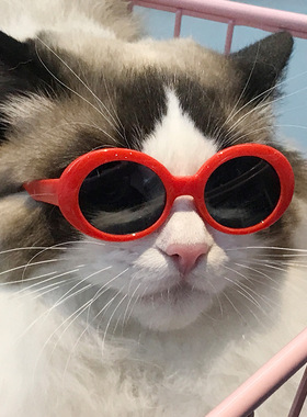 复古风拍照道具搞怪墨镜