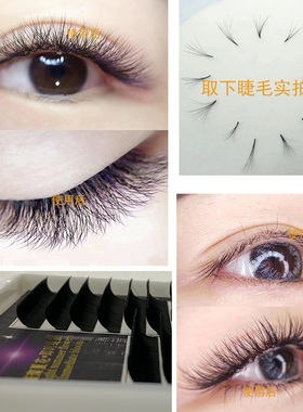 婕媛妮一秒自动开花0.03组合装随意夹取根部极细不散根台式大开花