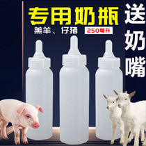 250ml Lamb Milk Bottle Piggy Milk Pot Pet With Milk Bottle Piglet Silicone Pacifier Breeding Supplies