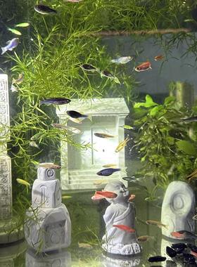 禅意鱼缸造景中式院门栩元水泥