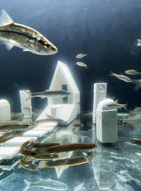 栩元微景观水泥鱼缸造景