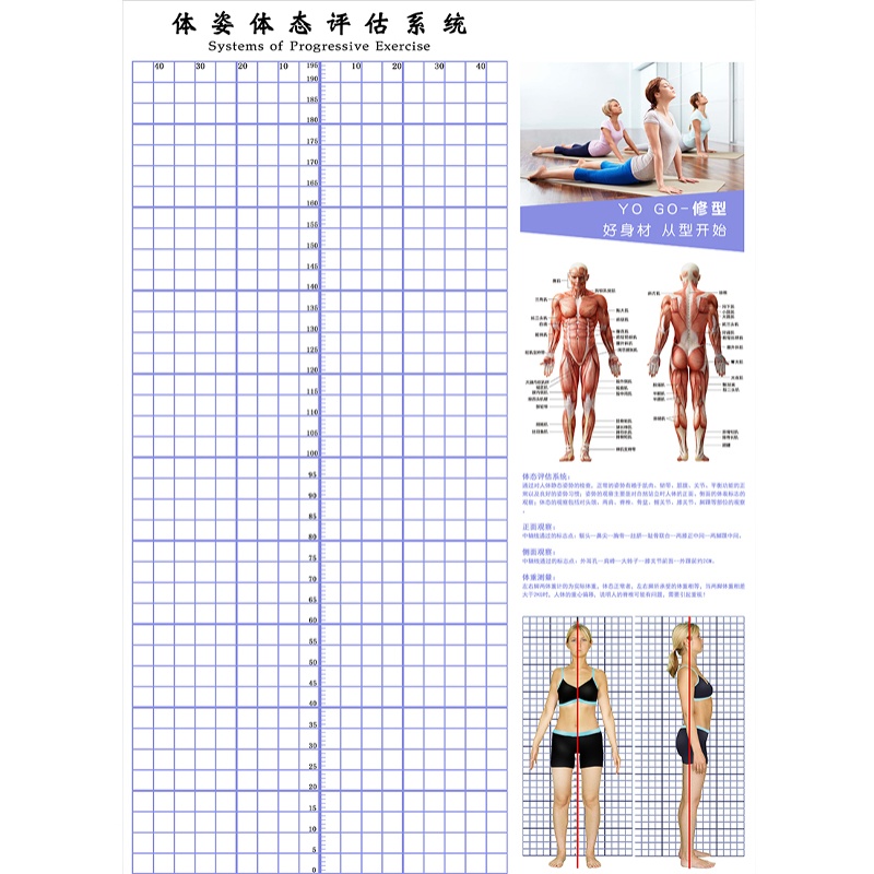 2022新版健身房瑜伽馆私教体姿体态评估图表体测背景墙贴壁画墙纸-图3