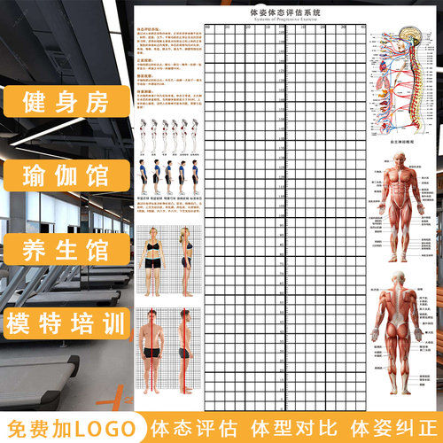 体态评估表墙纸贴式体测健身房瑜伽馆私教身体形姿矫正网格对比图