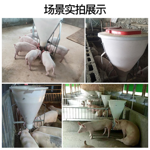 猪食槽育肥猪用自动下料器不锈钢喂猪饲料槽大猪采食槽养猪场设备 - 图3
