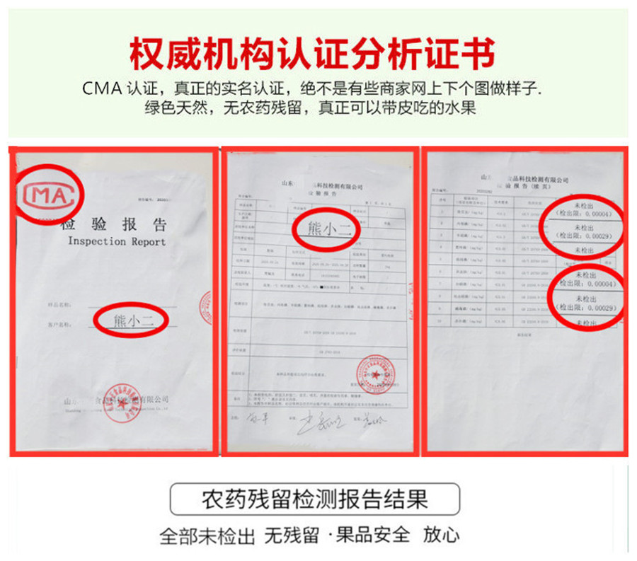 正宗秋月梨新鲜水果冰糖梨子山东特产5斤1批包邮莱阳秋月梨礼盒-图2