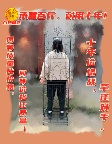 带底座阳台落地欧式屏风架室内庭院铁线莲花幕爬藤架园艺花架包邮 - 图2