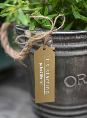 铁艺装饰花盆复古怀旧花园