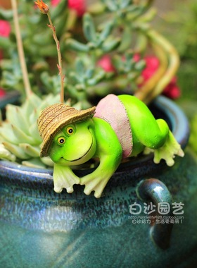 摆件萌哒哒戴帽盆边多肉微景观