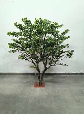 仿真福禄桐树仿生假树园林工程造景装饰室内绿植大型落地软装摆件