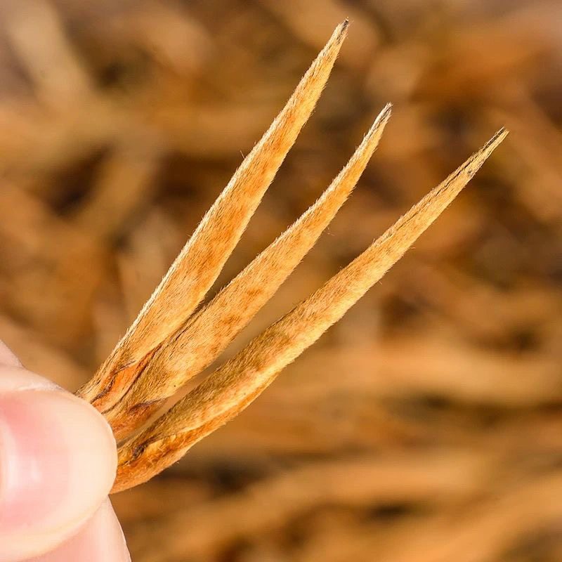 【一斤装】正宗滇红大金针古树红茶云南凤庆蜜香型红茶茶叶自己喝,淘宝优惠券,粉丝福利购,淘宝优惠卷