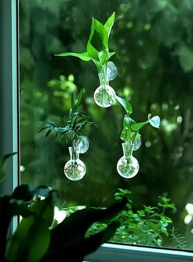透明壁挂水培花瓶玻璃窗装饰摆件