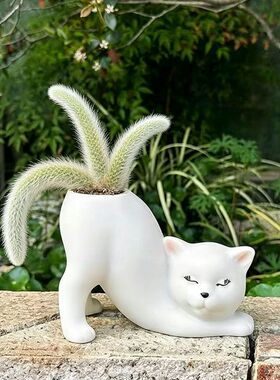 可爱九尾狐猫尾巴阳台多肉花盆