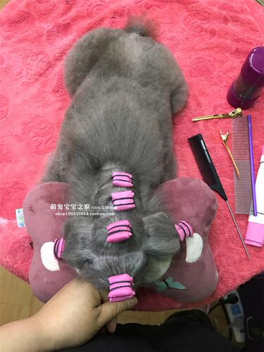 宠物包毛纸 宠物专业包毛纸 比熊约克夏长毛犬狗狗包毛纸包邮 - 图1
